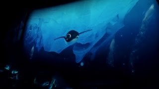 Antarctica Empire of the Penguin  SeaWorld Orlando [upl. by Mattah]