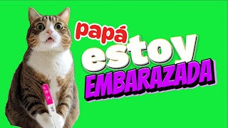 Papá estoy EMBARAZADA  Chistes de GATOS 😹😹😹 [upl. by Levitan506]