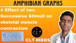 Effect of two successive stimuli on skeletal muscle contraction by CLTMBBS  amphibian graphs [upl. by Esile315]