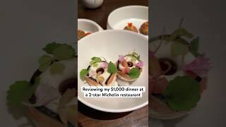 Reviewing my 1000 dinner at a 2Star Michelin restaurant ⭐️⭐️ michelinguide chicago [upl. by Akilak]