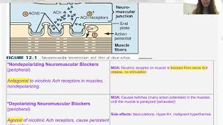 Neuromuscular Blockers and Spasmolytics Pharmacology for Naturopaths [upl. by Rotsen42]