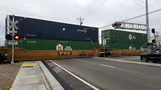 Meadowview Road Railroad Crossing UP 7374 Intermodal Northbound and Light Rails Sacramento CA [upl. by Egidius144]