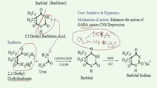 Synthesis of Barbital With reaction mechanisms Medicinal Chemistry GPAT NIPER etc [upl. by Osman991]