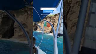 Azores São Miguel Island  Boat tour  snorkeling portugaltravel azores [upl. by Assirolc]