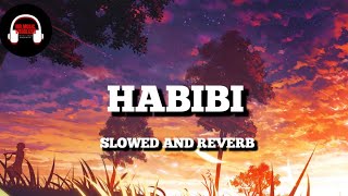 HABIBI x RICKY RICH Slowed and ReverbMrMusicVisualizer1 [upl. by Thorma170]