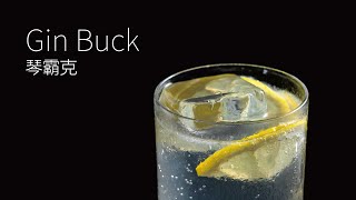 【一分鐘調酒】杜松子與薑汁  琴霸克．How to make a Gin Buck [upl. by Enotna812]