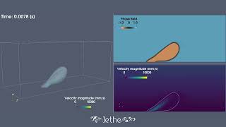 Air bubble detachment in water shear flow [upl. by Nimsay410]