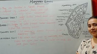 MAMMARY GLANDS HUMAN REPRODUCTION CLASS 12 [upl. by Eilloh]