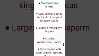 What are the Common names of Gymnosperms Class 11 Biology Chapter 3 [upl. by Nelad]