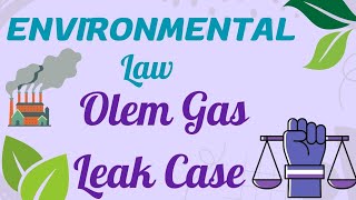 Oleum Gas Leak Case  Environmental Law [upl. by Selyn]