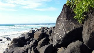 Coolangatta Beach  Gold Coast [upl. by Yeca]