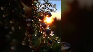 வேரூன்றச் செய்வார் message [upl. by Crispa]