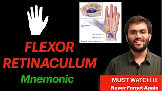 Flexor Retinaculum of Hand Anatomy Mnemonic and Explanation Video  Hand Anatomy Part 1 Upper Limb [upl. by Ahidam]