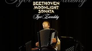 Beethoven – Moonlight Sonata 26 zavadsky accordion pianosonata beethoven moonlightsonata [upl. by Atisor376]