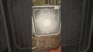 20” Aerospeed Box Fan [upl. by Cacia]