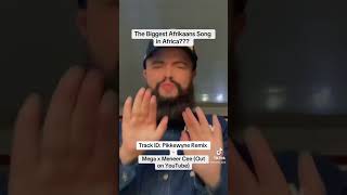 Pikkewyne Remix  The Biggest Afrikaans Song in Africa 🇿🇦🇿🇲🇧🇼🇿🇼🇳🇦 pikkewyne [upl. by Atoked]