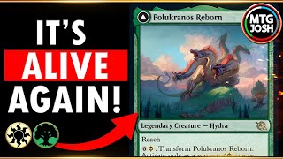 Polukranos Reborn TERRORIZES Brawl [upl. by Otir]