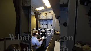 R1 galley manager prepares aircraft galley kitchen for the service Aviation diaries [upl. by Gamaliel899]