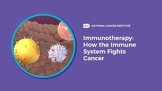 Immunotherapy How the Immune System Fights Cancer [upl. by Regan]