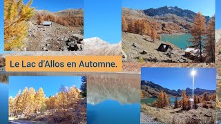 Le Lac d’Allos en Automne 🍁 [upl. by Isyed848]