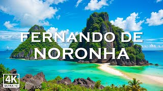 Fernando de Noronha in 4K Explore Brazils hidden gems  4K Ultra HD [upl. by Rybma938]