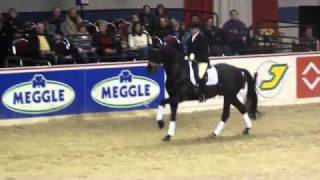 Detroit 2005 by Dimaggio  Lord Liberty Stallion Show Sosath 2011 [upl. by Piggy594]