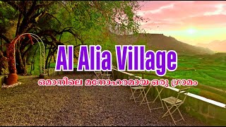 AL ALIA VILLAGE  OMAN A beautiful village in Oman  ഒമാനിലെ മുന്തിരി തോട്ടം [upl. by Ohce]