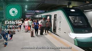 Tren Maya 🚆 Reporte Integral de avances del Tramo 4  05082024 [upl. by Neufer]