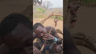 Hadzabe Lunch Time in the Forest bushmen tradition [upl. by Ahseirej]