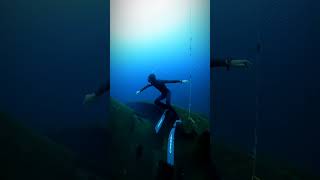 tenerife apnea freediving ocean canarias tenerife4k underwater wreck oceano [upl. by Bagger]