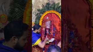 Joy Ma sidhartho tarapith maatara maa kali kalimaa mahakali tarapith taramaa tara shakti [upl. by Cheryl205]