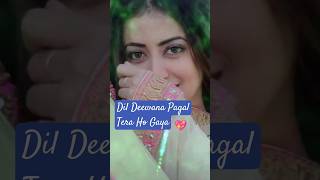 Dil Deewana Tera Ho Gaya 🌹❣️edit viralvideo love song shorts [upl. by Worlock]