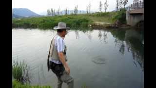 Fly fishing  Episode 1 대천천 잉어플라이낚시 [upl. by Nohsyt503]