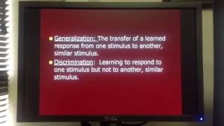 Generalization and Discrimination [upl. by Aniram]