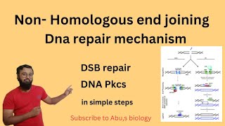 Non Homologous end joining  Dna repair mechanism NHEJ  DSB repair dnarepair [upl. by Merl739]