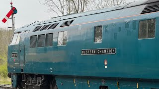 Severn Valley railway April 2742024 [upl. by Fahy]