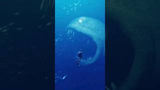 Worst Phobias to have 😳 phobia fear thalassophobia shorts [upl. by Neenaej]