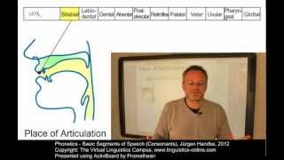 PHO106  Basic Segments of Speech Consonants [upl. by Idnaj]