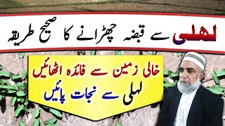 How to get rid of Convolvulus arvensis Lehli لیہلی Non croplands  Crop Reformer [upl. by Bartholomeus]