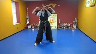 Kenpo Kata Short 3 with breakdown [upl. by Nadual]