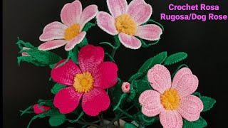 How to crochet Rosa rugosadog rose [upl. by Lenno316]