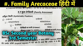 Family Arecaceae in hindi  BSc first year Botany Third Semester [upl. by Ku196]