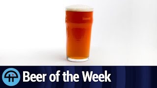 Beer of the Week Machine House Brewery Stinging Nettle Ale [upl. by Tomaso]