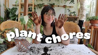 PLANT CHORES  repotting tons of hoya amp checking on air layered plants [upl. by Olatha312]