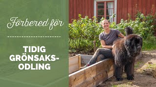 Förbered för tidig grönsaksodling [upl. by Enialedam]