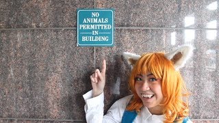 AnimeNEXT 2019 Vlog feat Lexis feet [upl. by Castor]