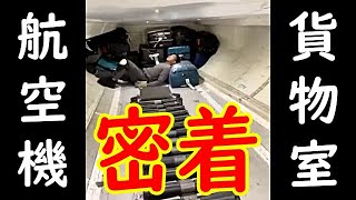 貴重映像【航空機の貨物室】 [upl. by Whitcomb]