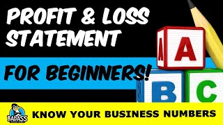 Understanding a Profit and Loss Income Statement for Beginners [upl. by Vez]