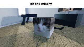 oh the misery cat Roblox [upl. by Annah]