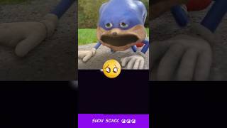 Poor Shin Sonic 😭😭😭😭😭  HorrorSkunx  Bouncing Square sonic [upl. by Annayehc]